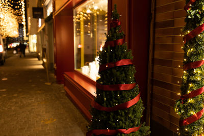 Illuminated christmas tree at night