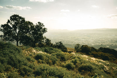 Scenic view of landscape against sky