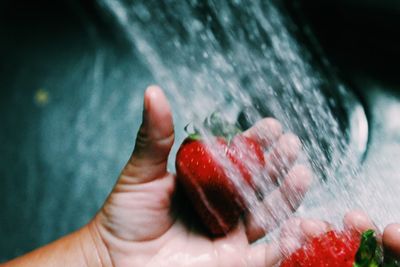 Cropped hands washing strawberries