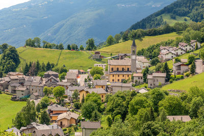 High angle view of trees and houses