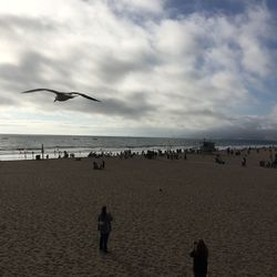 Birds flying over beach against sky