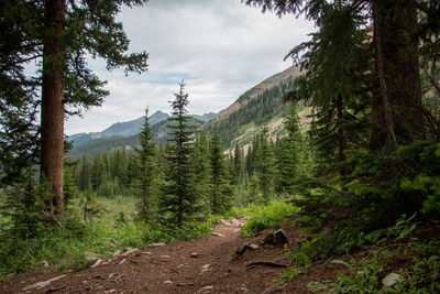 Scenic view of trees and mountains against sky