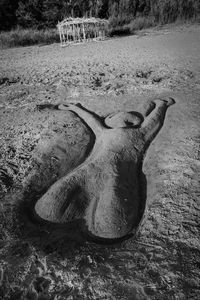 High angle view of driftwood on sand