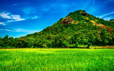 Scenic view of landscape against cloudy sky