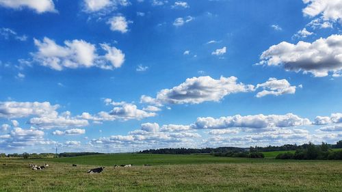 Scenic view of field against sky