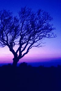 Silhouette of person standing by bare tree against blue sky