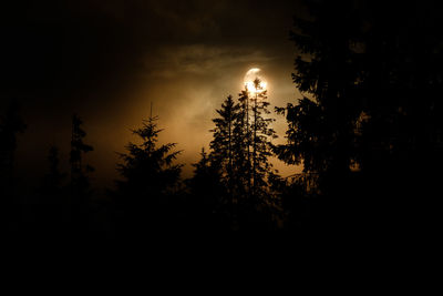 Silhouette trees against sky at night