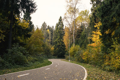 Road amidst trees in forest during autumn