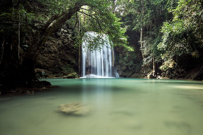 Scenic view of waterfall in forest