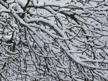 Full frame shot of snow