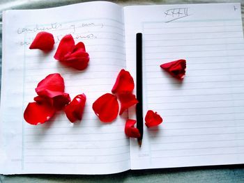 High angle view of red flower on table