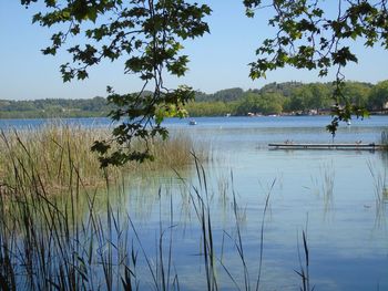 Calm lake with trees in background