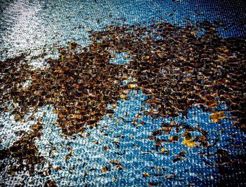 Full frame shot of sea water on land