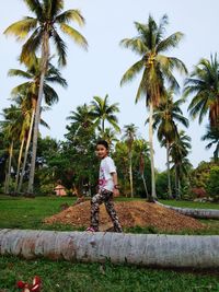 Full length of man riding horse on palm trees