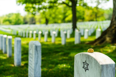 View of gravestones at cemetery