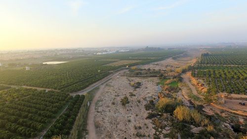 Scenic view of agricultural field