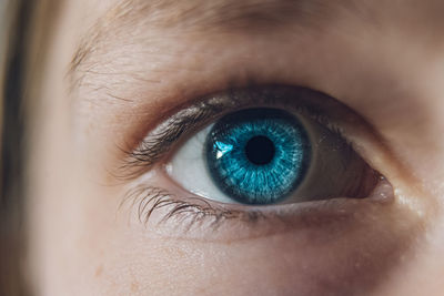 Close-up portrait of woman eye