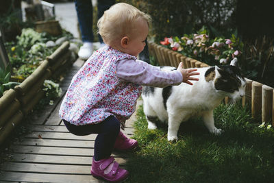 Side view of girl playing with cat at backyard