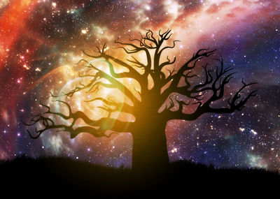 Close-up of illuminated tree against sky at night