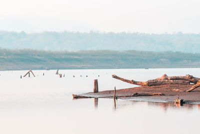 Wooden posts in lake against sky