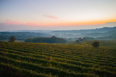 Scenic view of field against sky during sunset