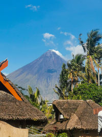 Trees and buildings against sky