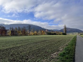 Scenic view of field against sky