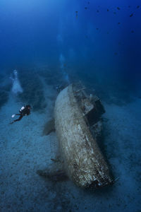 High angle view of fishes swimming in sea