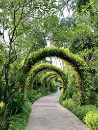 Sweet escape to the national orchid garden