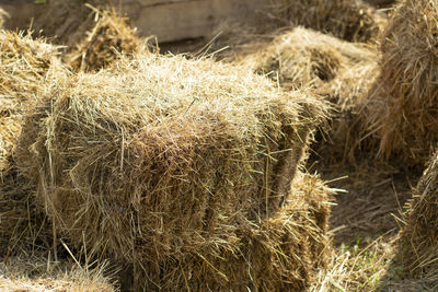 Close-up of hay bales on field