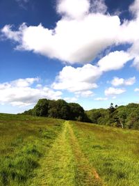 Scenic view of field against sky