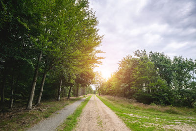 Empty road amidst trees against sky