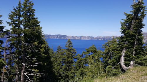 Scenic view of sea against clear blue sky