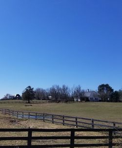 Scenic view of field against clear blue sky