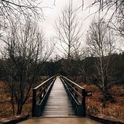 Footbridge amidst bare trees