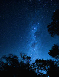 Low angle view of silhouette trees against sky at night
