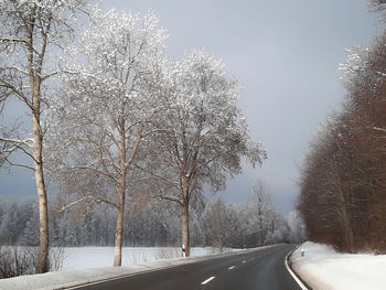 Road amidst trees against sky during winter