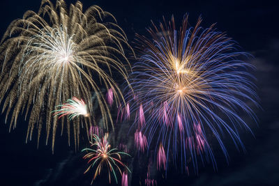 Low angle view of firework display at night