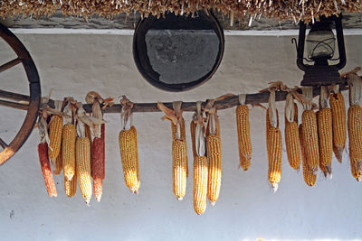 Corns hanging against white wall
