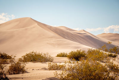 Scenic view of desert against sky