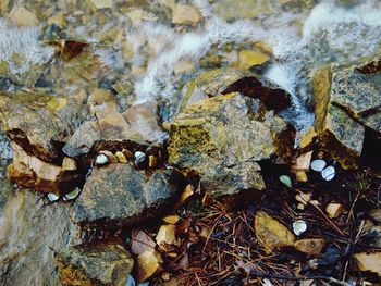 High angle view of rocks in water