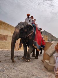 People riding elephant on road against sky