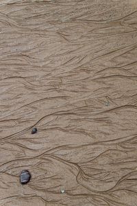 Close-up of wooden surface