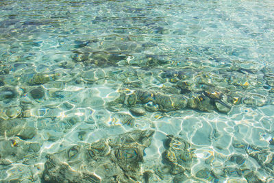 Full frame shot of rippled water