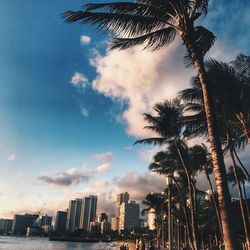 Low angle view of silhouette trees and buildings against sky during sunset