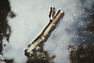 High angle view of frozen lake