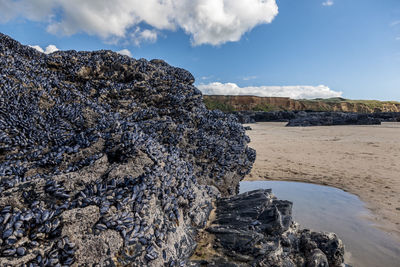 Rock formation on beach against sky