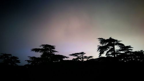 Low angle view of silhouette trees against sky at sunset