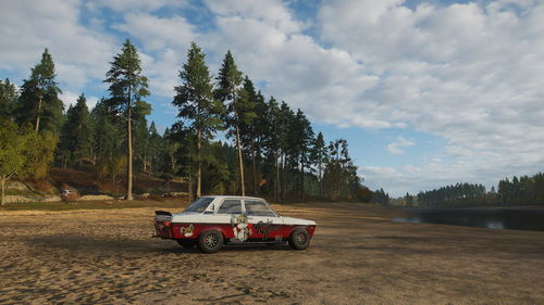 Car on road amidst trees on field against sky