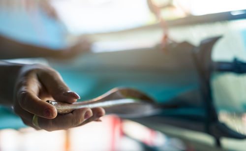 Close-up of person holding hands